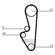 Ремень ГРМ [108 зуб.,25mm] Continental арт. CT765