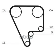 Ремень грм Continental арт. CT804