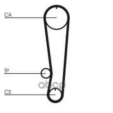Ремень ГРМ Suzuki Vitara 1.6 88- Z=95*19 Continental арт. CT808