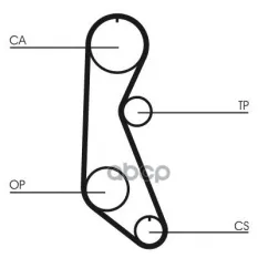 Ремень ГРМ Continental арт. CT816