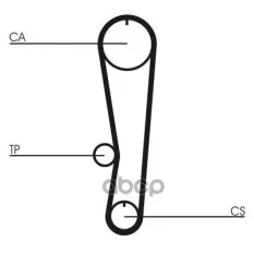Ремень ГРМ CONTITECH CT895 Continental арт. CT895