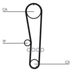 Ремень ГРМ [111 зуб., 25,4mm] Continental арт. CT1072