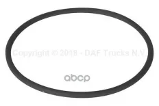 Кольцо уплотнительное поворотного кулака 66,34x2,62 mm DAF арт. 1369176