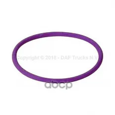 Кольцо уплотнительное топливного насоса нижнее, резина : сечение круглое DAF CF75IV CF85IV XF105 DAF арт. 1664754