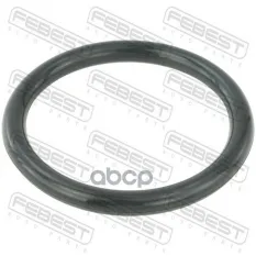 Кольцо уплотнительное корпуса дроссельной заслонки RENAULT LOGAN 2005-2013 FEBEST RINGAH-009 Febest арт. RINGAH-009