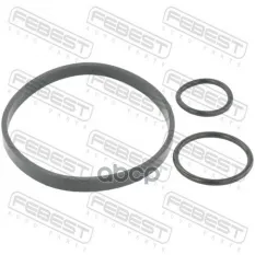 Кольцо уплотнительное масляного фильтра комплект RENAULT Megane II 02-08 FEBEST RINGOL-039-KIT Febest арт. RINGOL-039-KIT