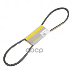 Ремень клиновой 10X1090 для CHEVROLET / FIAT / HYUNDAI / JEEP / MITSUBISHI GANZ GIE37250 GANZ арт. GIE37250