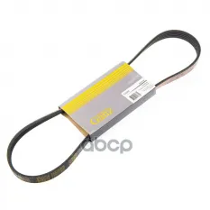 Ремень поликлиновый 5PK870 DAEWOO / FORD / RENAULT GANZ GIE37093 GANZ арт. GIE37093
