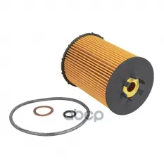 Фильтр масляный BMW E60/E65/X5(E70) 4.0/4.8/6.0L mot.N62/N73 GANZ GIR01265 GANZ арт. GIR01265