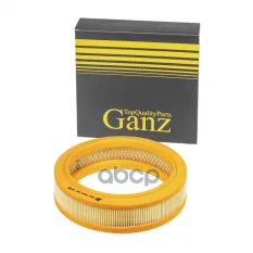 Фильтр воздушный GANZ GRR04001 (GRR04001) GANZ арт. GRR04001