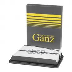 Фильтр воздушный HYUNDAI Equus/Genesis 2009-> GANZ GIR04321 GANZ арт. GIR04321