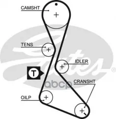 Ремень ГРМ GATES 5370XS (77 00 857 325) Gates арт. 5370XS