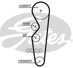Ремень ГРМ GATES 5665XS (477F1007073) Gates арт. 5665XS
