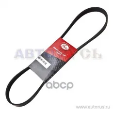 Ремень ручейковый 6PK1018 GATES 6PK1018 (6PK1018) Gates арт. 6PK1018