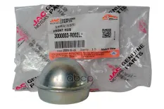 Колпачок передней ступицы JAC 3000003R002LJ JAC арт. 3000003R002LJ
