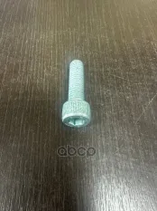 болт! M10х35-10MAN MAN арт. 06020944511