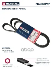 Поликлиновой ремень 8PK2080  M6310199 MARSHALL арт. M6310199