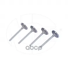 Клапан впускной SKODA Octavia A4 (00-10) 1,6 NSP арт. NSPRS76N12