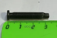 Винт M6X100 TU1 / TU3 CITROEN BERLINGO(FIRST) (M59) (2002-2012) Peugeot-Citroen арт. 090821