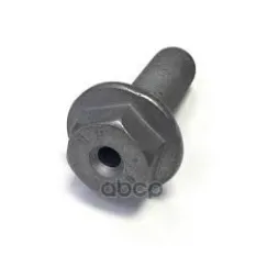 Болт полый RENAULT арт. 8200545704