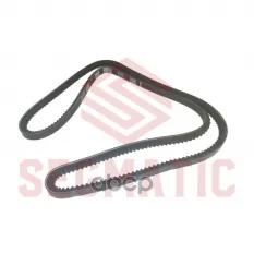 Ремень клиновой 13x1650, DAF,Setra,Iveco,MAN,MB,RVI,Scania SEGMATIC арт. SGSB4058