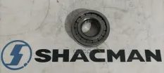Подшипник редуктора SHACMAN SHAANXI X6000 среднего моста (45х100х31) OE Shacman арт. HD469-2402012