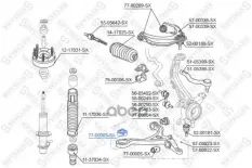 сайлентблок рычага пер.! Honda Accord 2.0-2.4/2.2CTDi 03> Stellox арт. 7700003SX