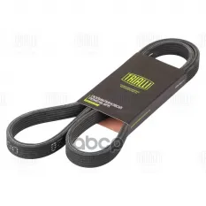 Ремень ручейковый Trialli арт. 6DPK1320
