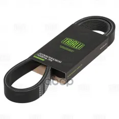 Ремень приводной для а/м BMW X5 E70 (06-) 4.8i [N62] генер. (7PK1666) Trialli арт. 7PK1666