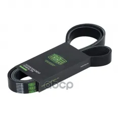 Ремень приводной для а/м Renault Megane II (02-)/Scenic II (03-) 2.0i/1.9d [F4R  F9Q] (7PK1785) Trialli арт. 7pk1785