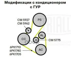 Ролик привод. ремня для а/м Ford Focus II (05-)/Peugeot 307 (00-) 1.4d/1.6d (опор.) d60 (CM 5775) Trialli арт. cm-5775