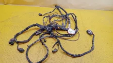 Проводка (коса) Ford Transit 2017