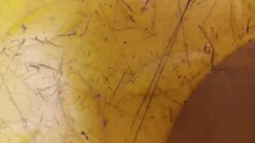 Стекло двери задней левой Volkswagen Tiguan