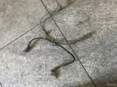 Задний датчик абс Infiniti FX37