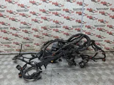Проводка двс Chevrolet Captiva 2007 96822752 C100 Z20S