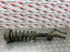 Стойка подвески BMW X5 2009 31316781920 E70 M57D30 (306D3), передняя левая