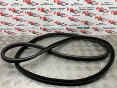 Уплотнитель двери BMW X5 2009 51767220382 E70 M57D30 (306D3), задний левый