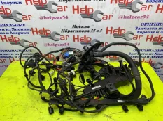 Проводка двс BMW X5 2009 12517810118 E70 M57D30 (306D3)
