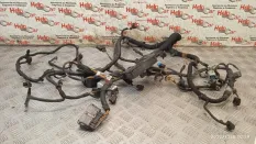 Проводка двс Land Rover Range Rover Sport 2009 LR013463 L320 30DDTX