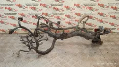 Проводка двс Nissan Qashqai 2008 24011JD02B J10 HR16DE