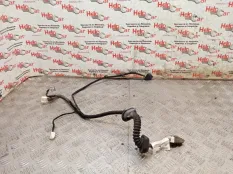 Проводка двери Nissan Qashqai 2008 24126JD00B J10 HR16DE, задняя левая