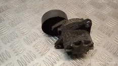 Натяжитель Mercedes-Benz M-Class 2004 A6112000370 W163 612963