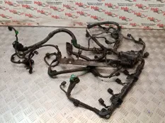 Проводка двс Honda CR-V 2008 32200SWWL01 RE5 R20A2