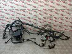 Проводка двс Opel Antara 2012 95076240 C145 A22DM