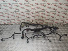 Проводка двс Nissan Qashqai 2007 24012JD06E J10 HR16DE