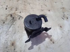 Абсорбер топливный Chevrolet Captiva 2007 25183499 C100 Z20S