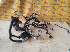 Проводка двс Nissan Qashqai 2009 24012JD24C J10 K9K