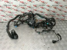 Проводка двс Honda CR-V 2008 32200SWWE21 RE5 R20A2