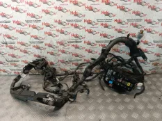 Проводка двс Toyota RAV4 2009 8212142B00 ACA30 2ADFTV