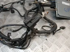 Проводка двс Ford Focus 2010 7M5112A650AFD CB4 SHDC; HWDA; HWDB; SHDA; SHDB